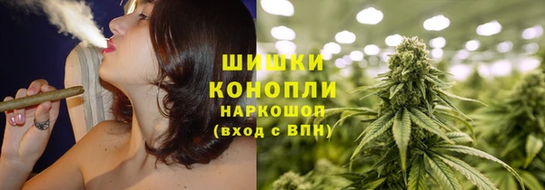 прущие грибы Магадан