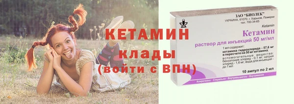 шишки Магас