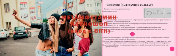 шишки Магас
