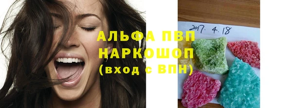 прущие грибы Магадан