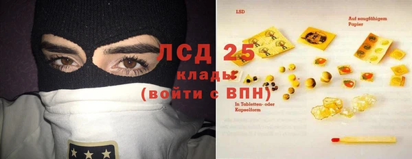 шишки Магас