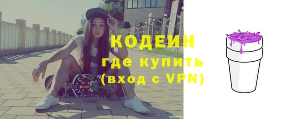 шишки Магас