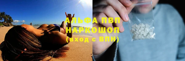 шишки Магас