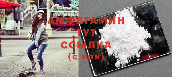 шишки Магас