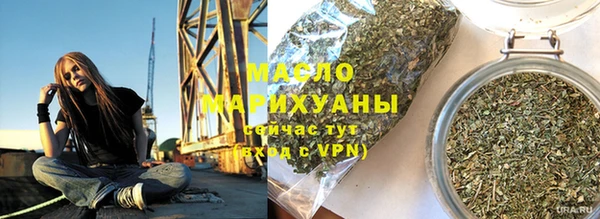 шишки Магас