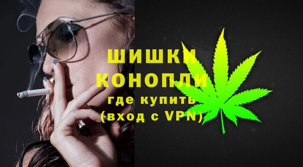 шишки Магас