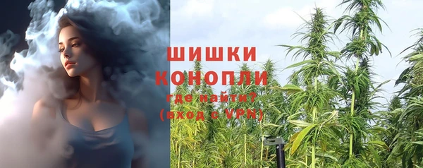 шишки Магас